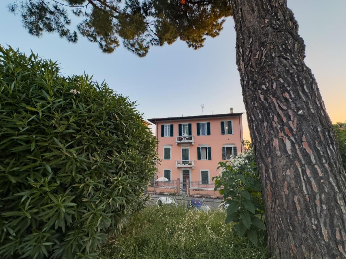 La Casa Di Eli Appartamenti Пиза Экстерьер фото